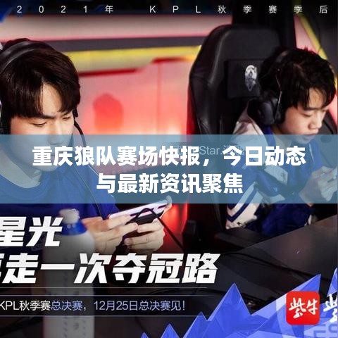 重庆狼队赛场快报，今日动态与最新资讯聚焦