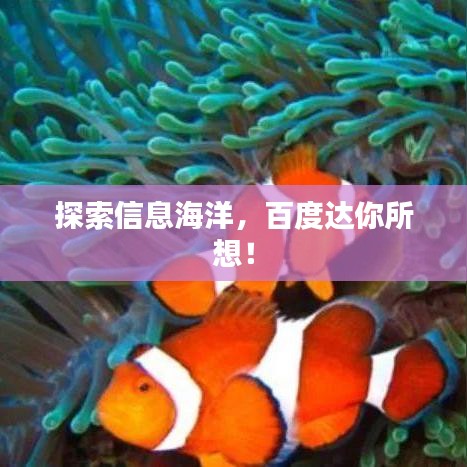 探索信息海洋，百度达你所想！