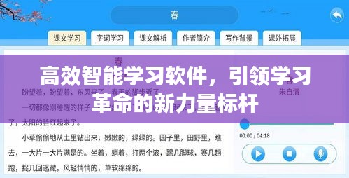 高效智能学习软件，引领学习革命的新力量标杆