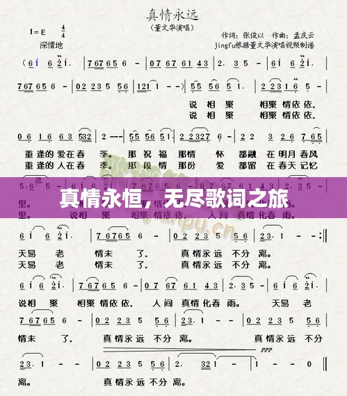 真情永恒，无尽歌词之旅