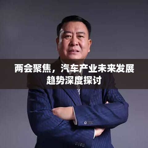 两会聚焦，汽车产业未来发展趋势深度探讨