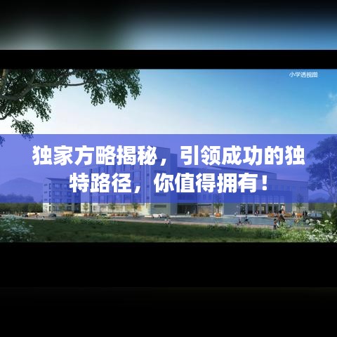 独家方略揭秘，引领成功的独特路径，你值得拥有！