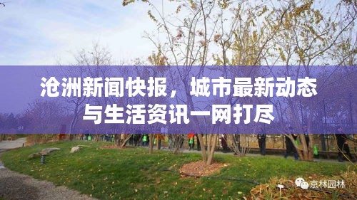 沧洲新闻快报，城市最新动态与生活资讯一网打尽