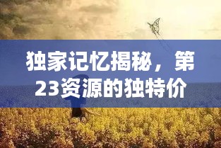 独家记忆揭秘，第23资源的独特价值探索