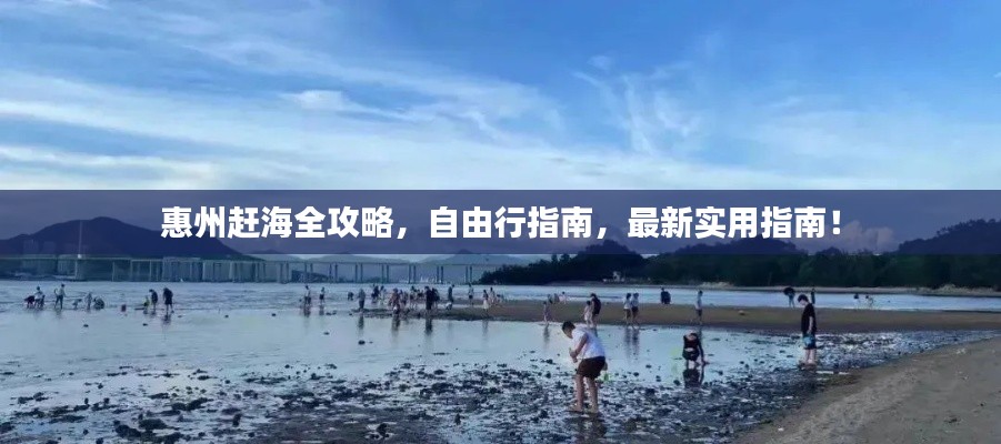 惠州赶海全攻略，自由行指南，最新实用指南！