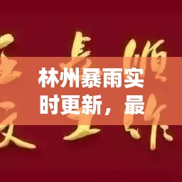 林州暴雨实时更新，最新视频报道来袭