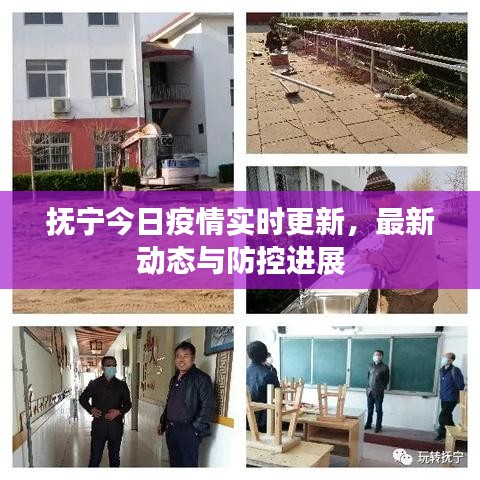 抚宁今日疫情实时更新，最新动态与防控进展