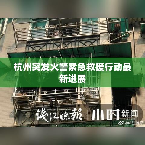 杭州突发火警紧急救援行动最新进展