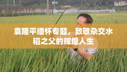 袁隆平缅怀专题，致敬杂交水稻之父的辉煌人生