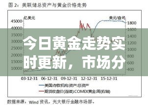 今日黄金走势实时更新，市场分析与展望，最新报价揭秘