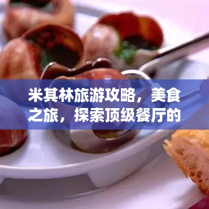 米其林旅游攻略，美食之旅，探索顶级餐厅的魅力之旅