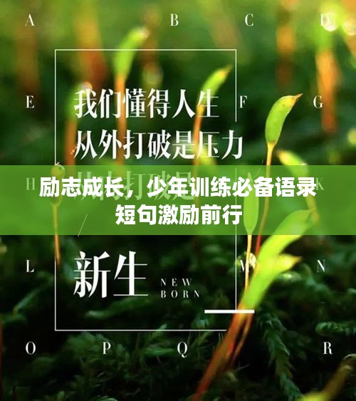 励志成长，少年训练必备语录短句激励前行