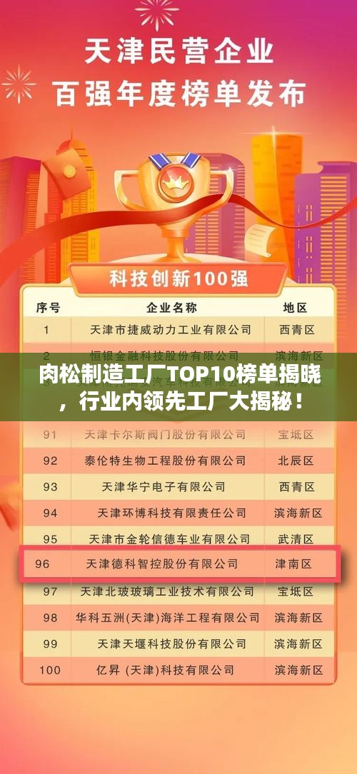 肉松制造工厂TOP10榜单揭晓，行业内领先工厂大揭秘！