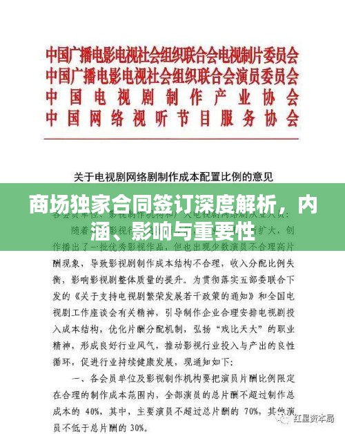 商场独家合同签订深度解析，内涵、影响与重要性