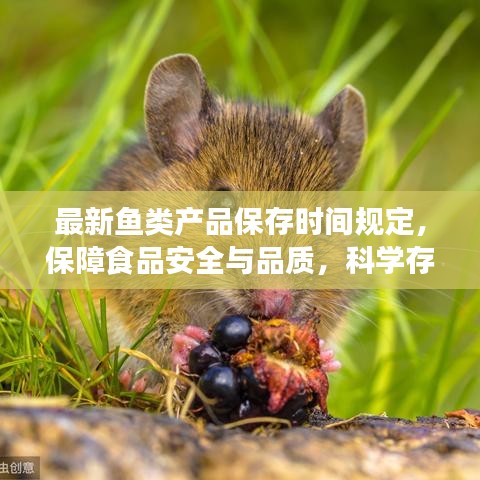 最新鱼类产品保存时间规定，保障食品安全与品质，科学存储，健康享用