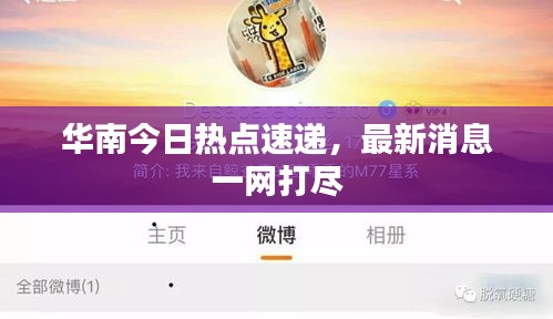 华南今日热点速递，最新消息一网打尽