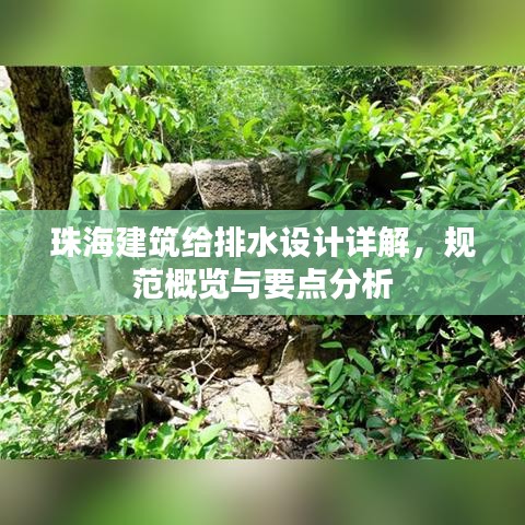 珠海建筑给排水设计详解，规范概览与要点分析