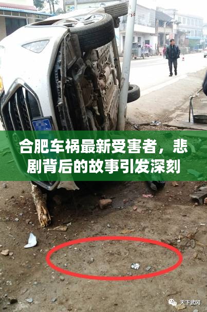 合肥车祸最新受害者，悲剧背后的故事引发深刻反思