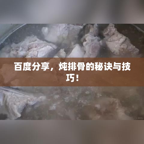 百度分享，炖排骨的秘诀与技巧！
