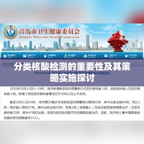 分类核酸检测的重要性及其策略实施探讨