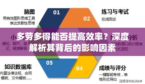 多劳多得能否提高效率？深度解析其背后的影响因素