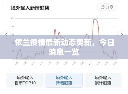 依兰疫情最新动态更新，今日消息一览
