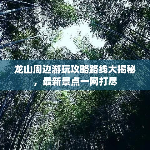 龙山周边游玩攻略路线大揭秘，最新景点一网打尽