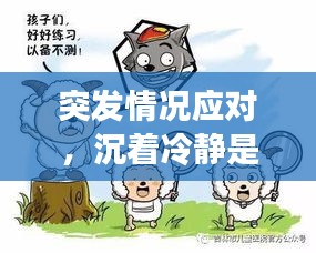 突发情况应对，沉着冷静是关键
