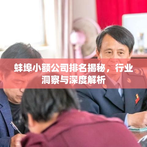 蚌埠小额公司排名揭秘，行业洞察与深度解析