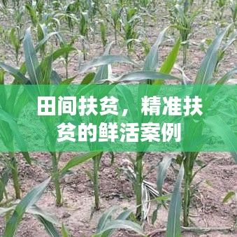 田间扶贫，精准扶贫的鲜活案例