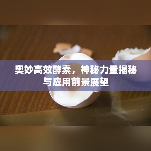 恋恋不舍