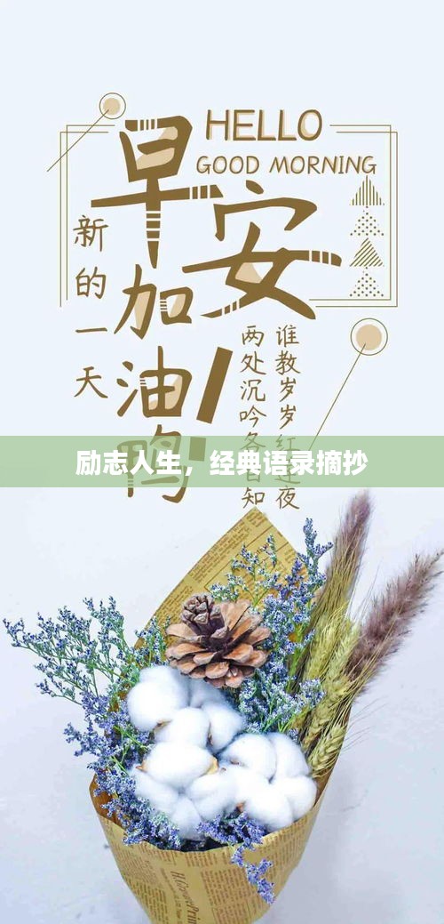 励志人生，经典语录摘抄