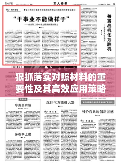 狠抓落实对照材料的重要性及其高效应用策略解析
