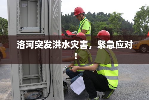 洛河突发洪水灾害，紧急应对！
