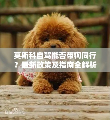 政企行业数字化软件 第43页