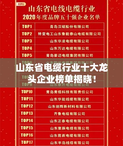 山东省电缆行业十大龙头企业榜单揭晓！