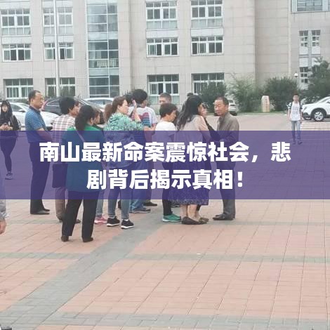 南山最新命案震惊社会，悲剧背后揭示真相！