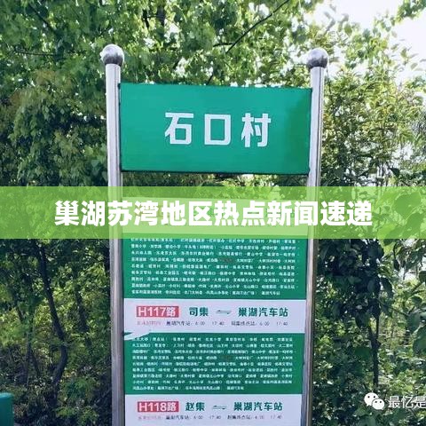 巢湖苏湾地区热点新闻速递