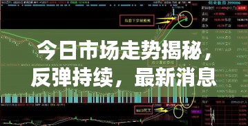 今日市场走势揭秘，反弹持续，最新消息全掌握