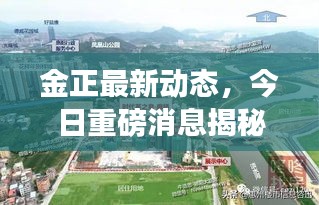 金正最新动态，今日重磅消息揭秘！
