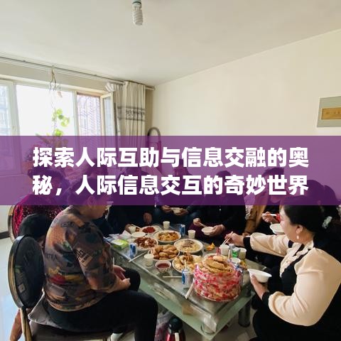 探索人际互助与信息交融的奥秘，人际信息交互的奇妙世界