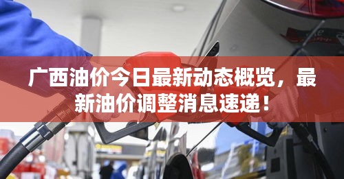 人前显贵