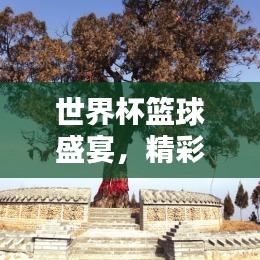 世界杯篮球盛宴，精彩瞬间一网打尽！