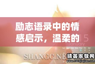 励志语录中的情感启示，温柔的力量不可小觑