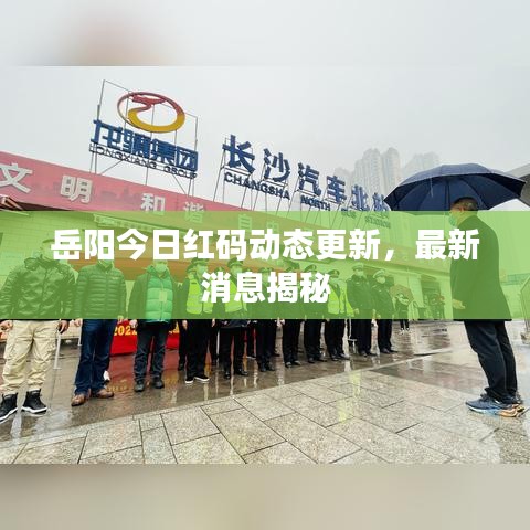 岳阳今日红码动态更新，最新消息揭秘