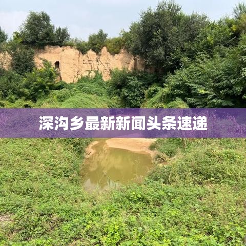 鸡飞狗跳
