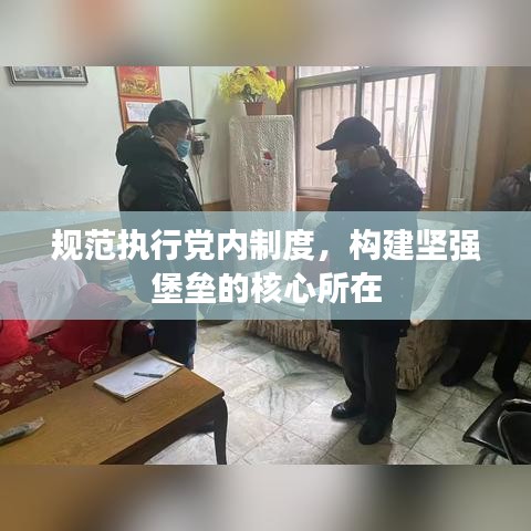 规范执行党内制度，构建坚强堡垒的核心所在
