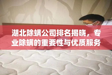 择善而从