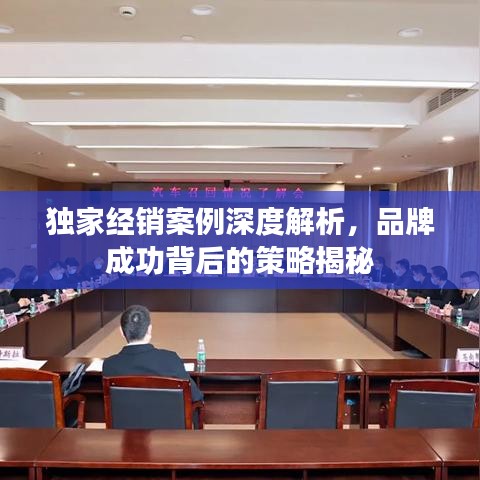 独家经销案例深度解析，品牌成功背后的策略揭秘