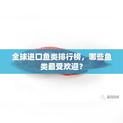 全球进口鱼类排行榜，哪些鱼类最受欢迎？